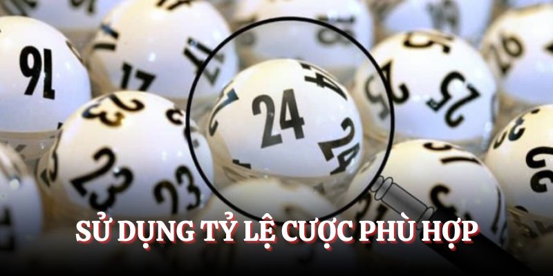 Sử dụng tỷ lệ cược phù hợp