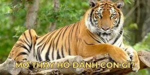 mơ thấy hổ đánh con gì